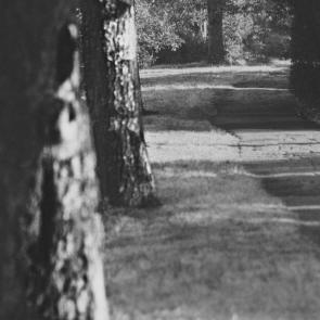 ����: ���������� � �����