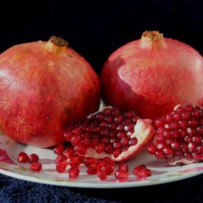 ����: ������