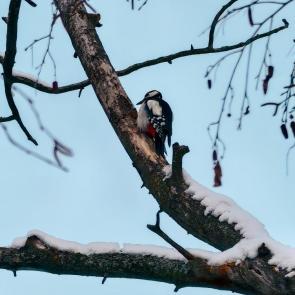 �������� ������