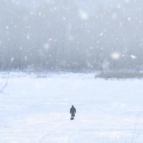 �������������� � ����������