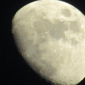 ����: ������������