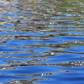 ����: ������