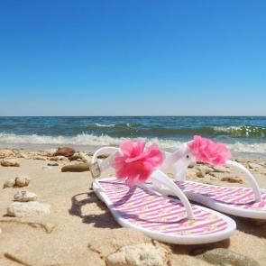 ���� ��������: �������� ����