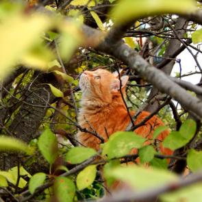 ����: ����� �� ������