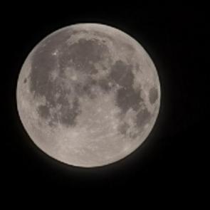 ����: ����