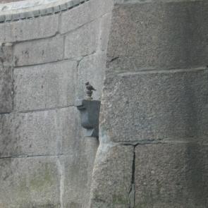 ����: ����� �����