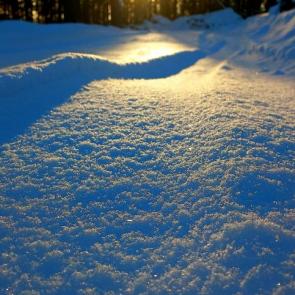 ���� ��������: 