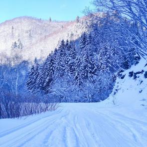 ����: ������ � ����