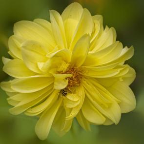 ����: ������� ������