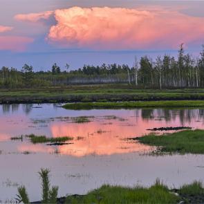 ����: ����� �� �����