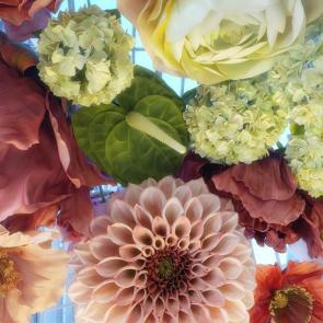 ����: ����� ������� ����������