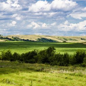 ���� ��������: ������� ��������