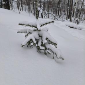 ����: ��������� ������ ������� �����