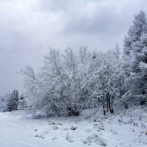 ���� ��������: 