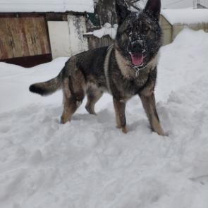 ����: ��������?