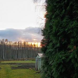 ����: ����