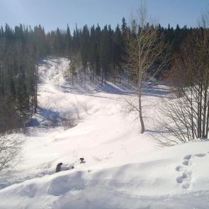 ����: ���� �������.