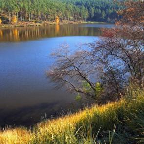 ����: ��� �����