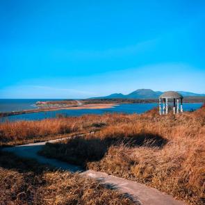 ���� ��������: 