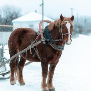 ����: �� ������