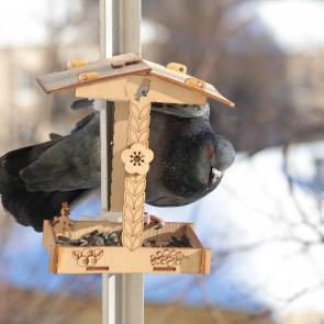 ����: ��������� �����. 