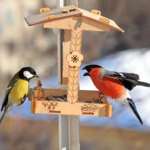 ����: �����. 