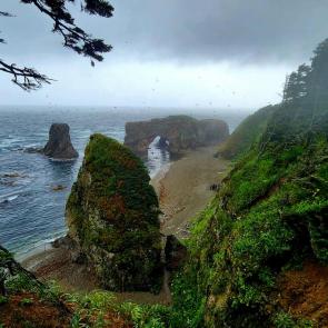 ����: ��������  �� �������� ���� 