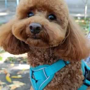 ����: ��� ����� ��� ���� 