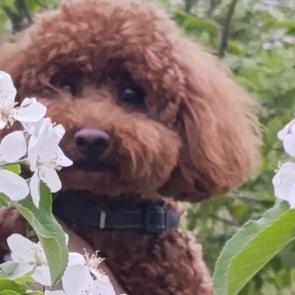 ����: ����� 