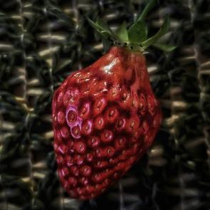 ���� ��������: 