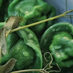 ���� ��������: ���������