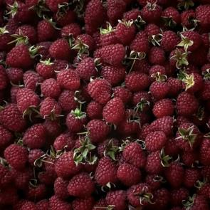 ���� ��������: 