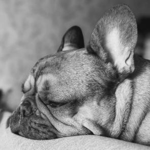 ����: ����� ����