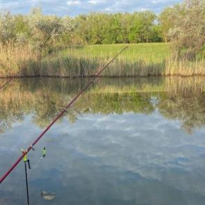 ����: ���������� ������