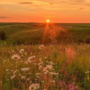 ����: ����