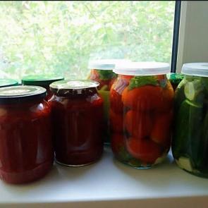 ����: ����������