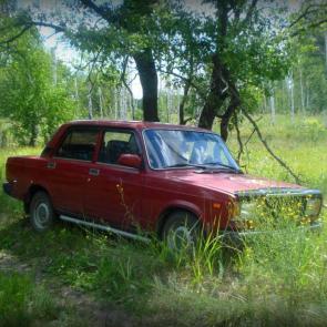 ����: ��������