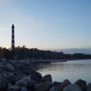 ����: ������