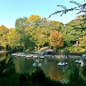 ����: ���� ������ ������