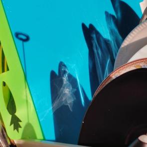 ����: ���� ������