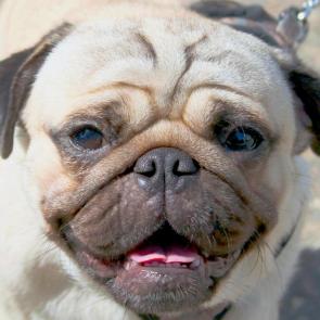 ����: ����