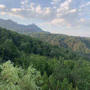 ���� ��������: ��������� �������� 