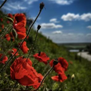 ����: ���� ����������� 