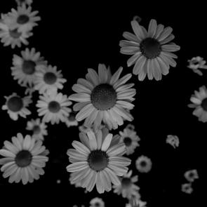 �����-����� ����������