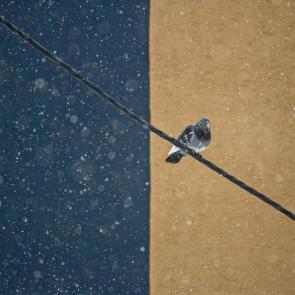 ����: �������� ������ �� �����