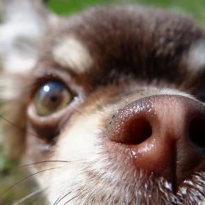 ����: ������� ��