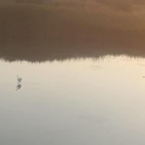 ����: ������ � ������