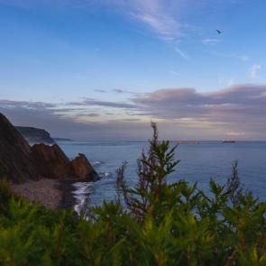 ���� ��������: ����� �����