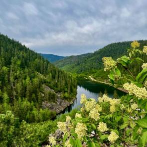 ����: ������ ���������� ����� ����