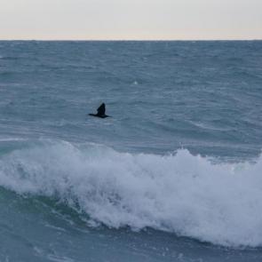 ����: �������� ������